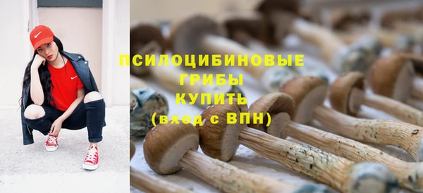 прущая мука Аркадак