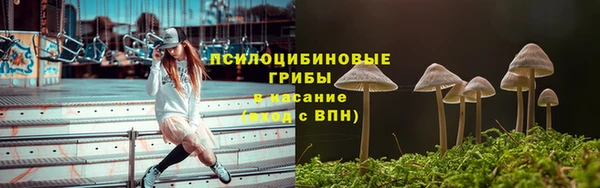 прущая мука Армянск