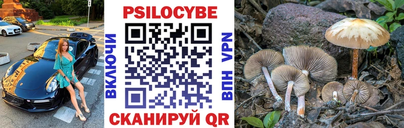 Галлюциногенные грибы Magic Shrooms  МЕГА зеркало  площадка официальный сайт  Ясный 
